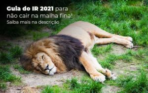 Guia Ir 2021 Para Nao Cair Na Malha Fina Saiba Mais Na Descricao Post 1 - Contabilidade em Vila Amália - SP | Lyra Contábil